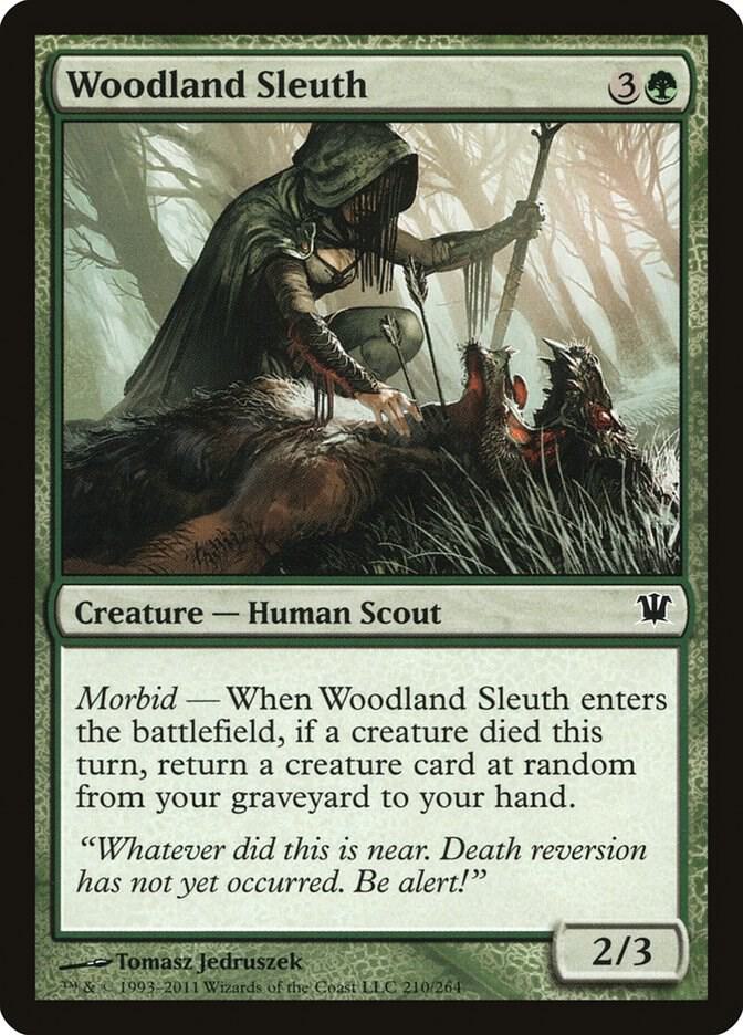 Woodland Sleuth - #210