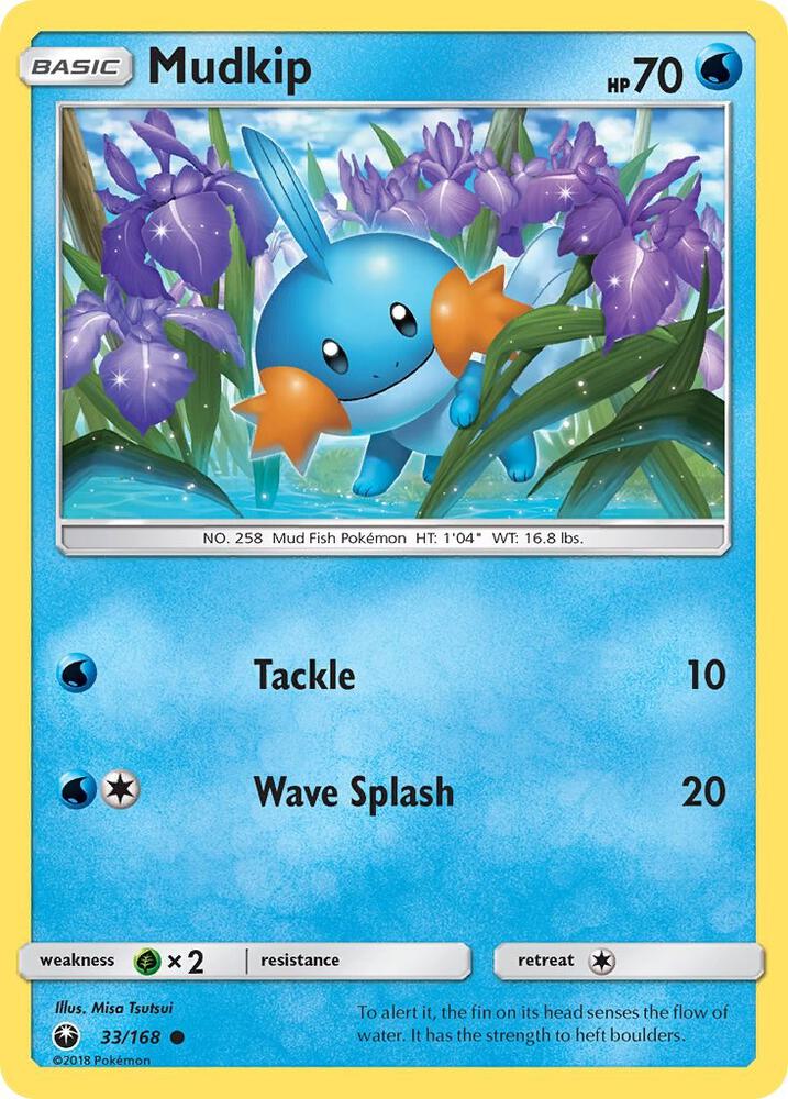 Mudkip (33) - #33/168