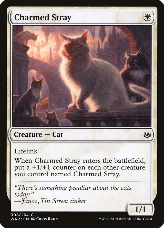 Charmed Stray - #8
