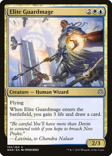 Elite Guardmage - #195