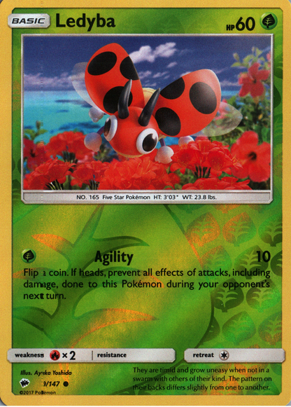 Ledyba