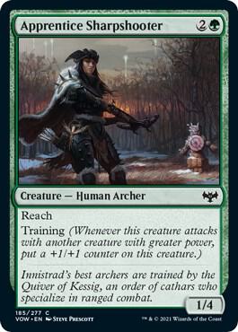 Apprentice Sharpshooter - #185