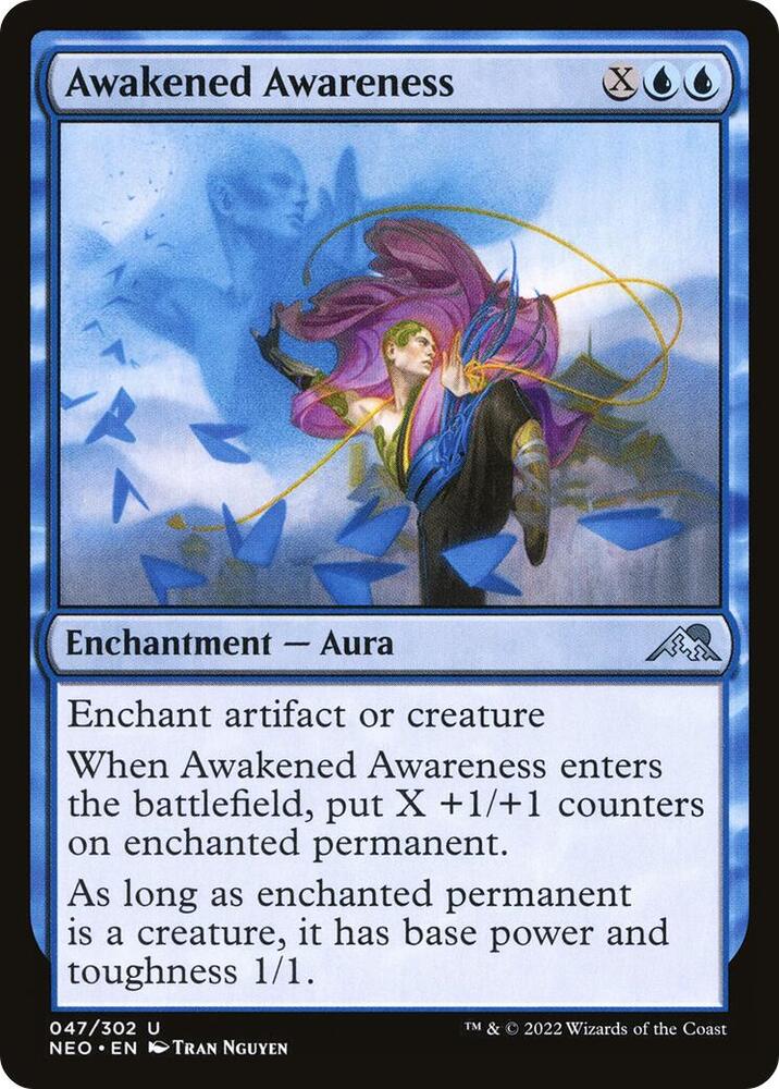 Awakened Awareness - #47
