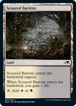 Scoured Barrens - #274