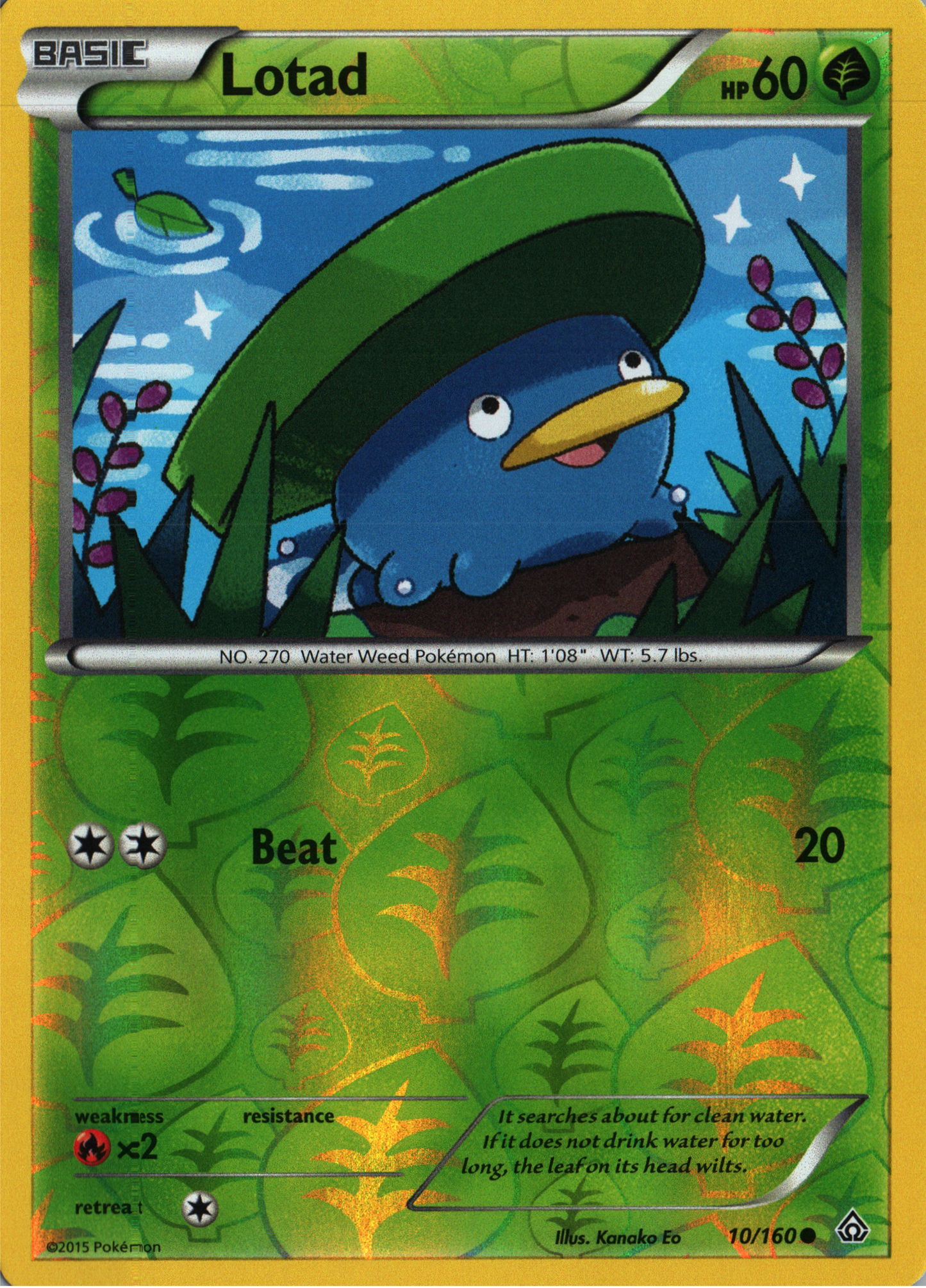 Lotad