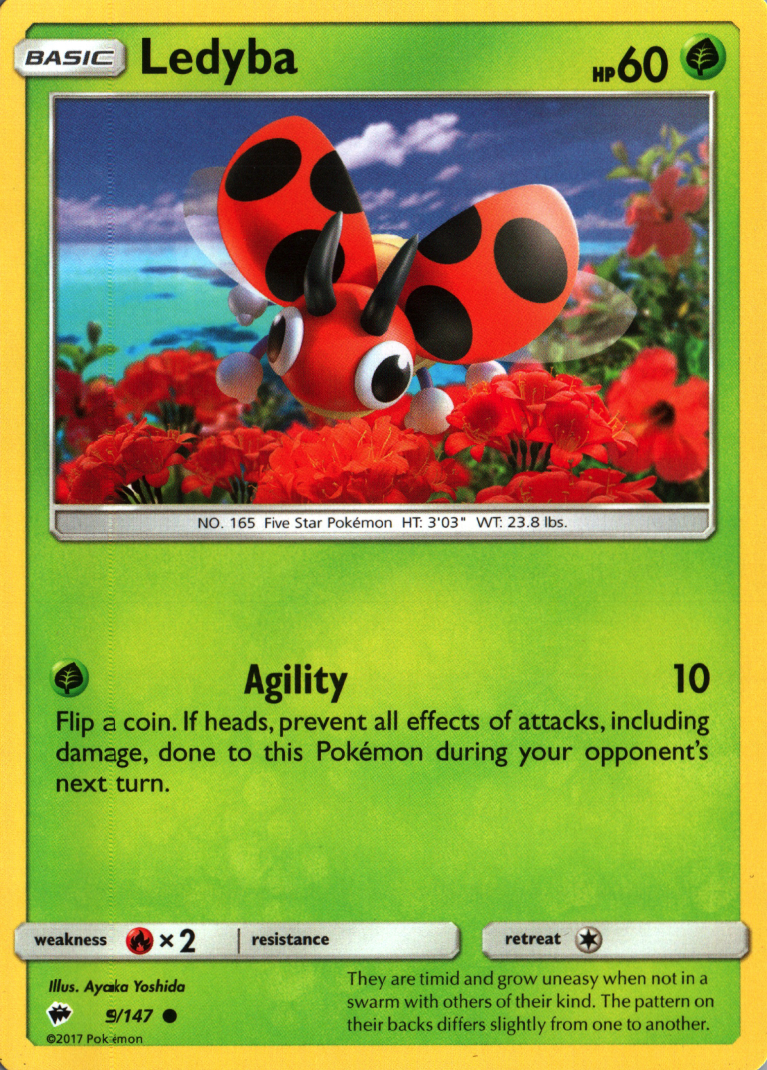Ledyba