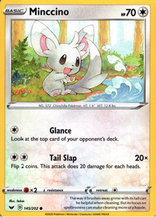 Minccino