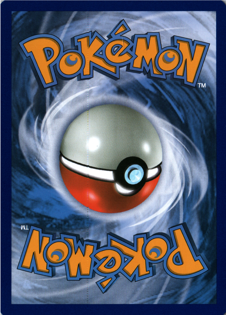 Bidoof Back