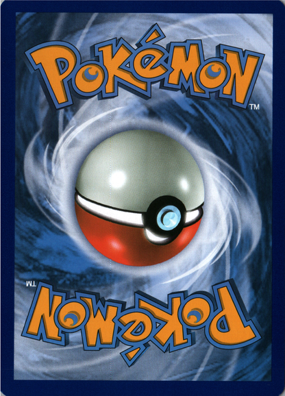 Lotad Back