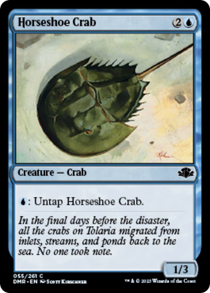Horseshoe Crab - #55