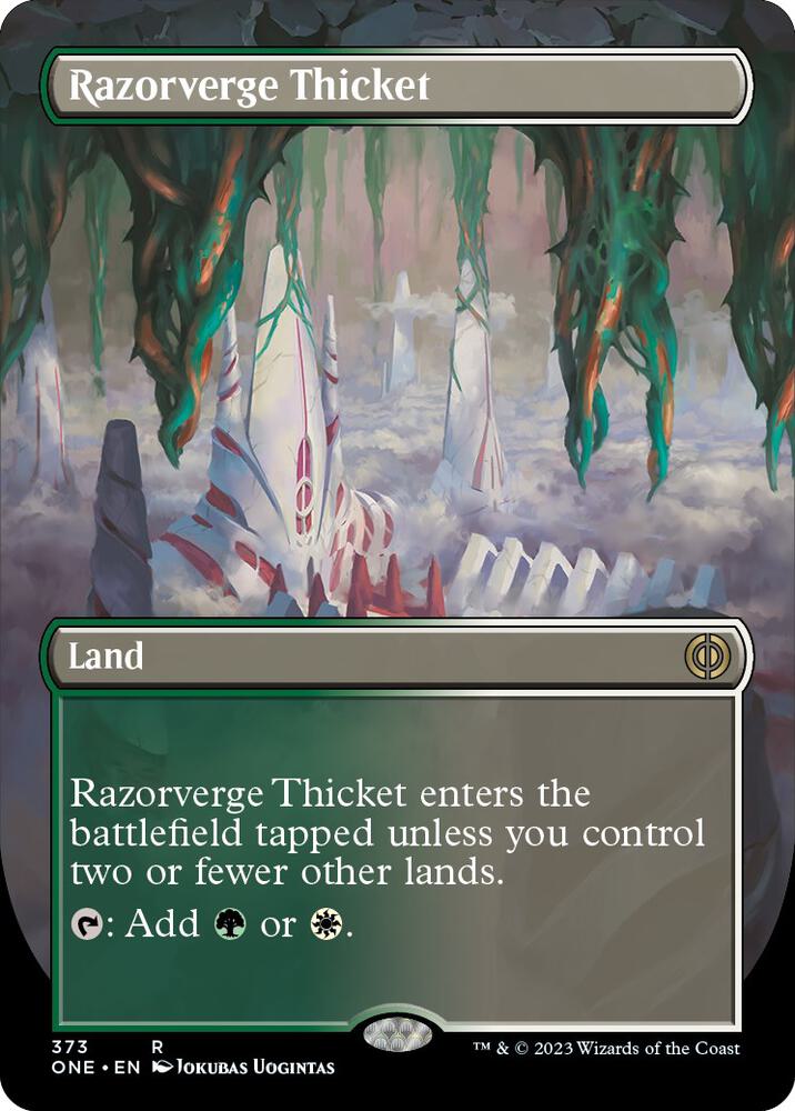 Razorverge Thicket (Borderless) - #373