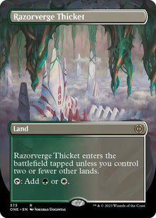 Razorverge Thicket (Borderless) - #373