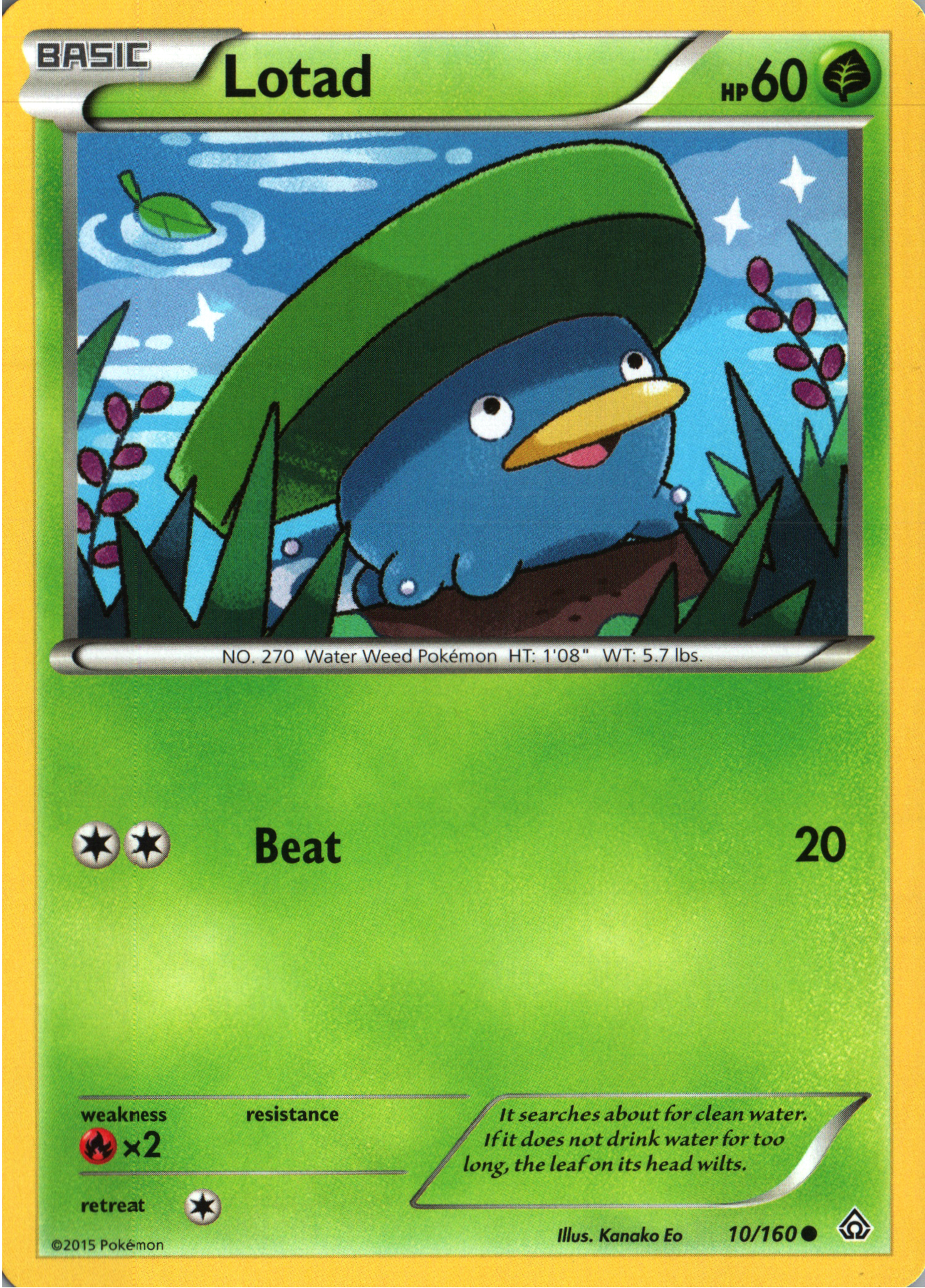 Lotad