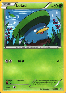 Lotad