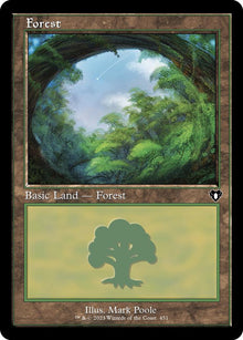 Forest (451) (Retro Frame) - #451