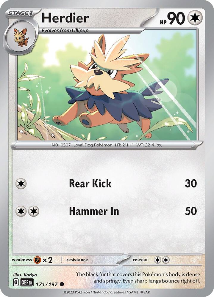 Herdier - #171/197
