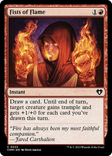 Fists of Flame - #223