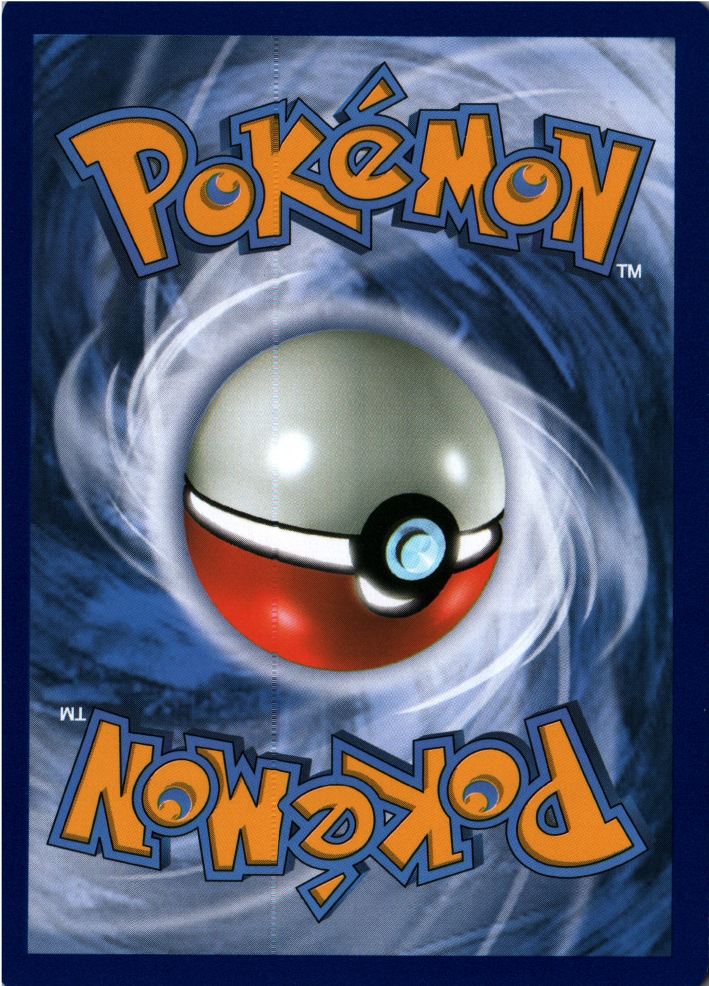Pokémon Catcher Back