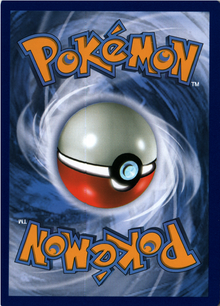 Pokémon Catcher Back