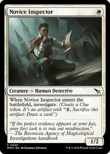 Novice Inspector - #29
