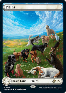 Plains (1513) - #1513