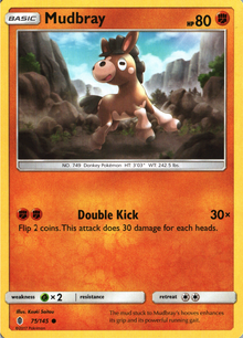 Mudbray