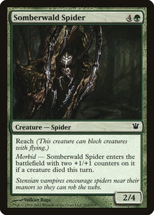 Somberwald Spider - #202
