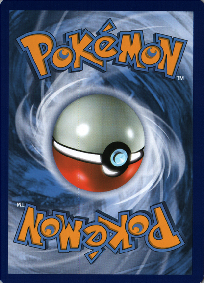 Chinchou Back