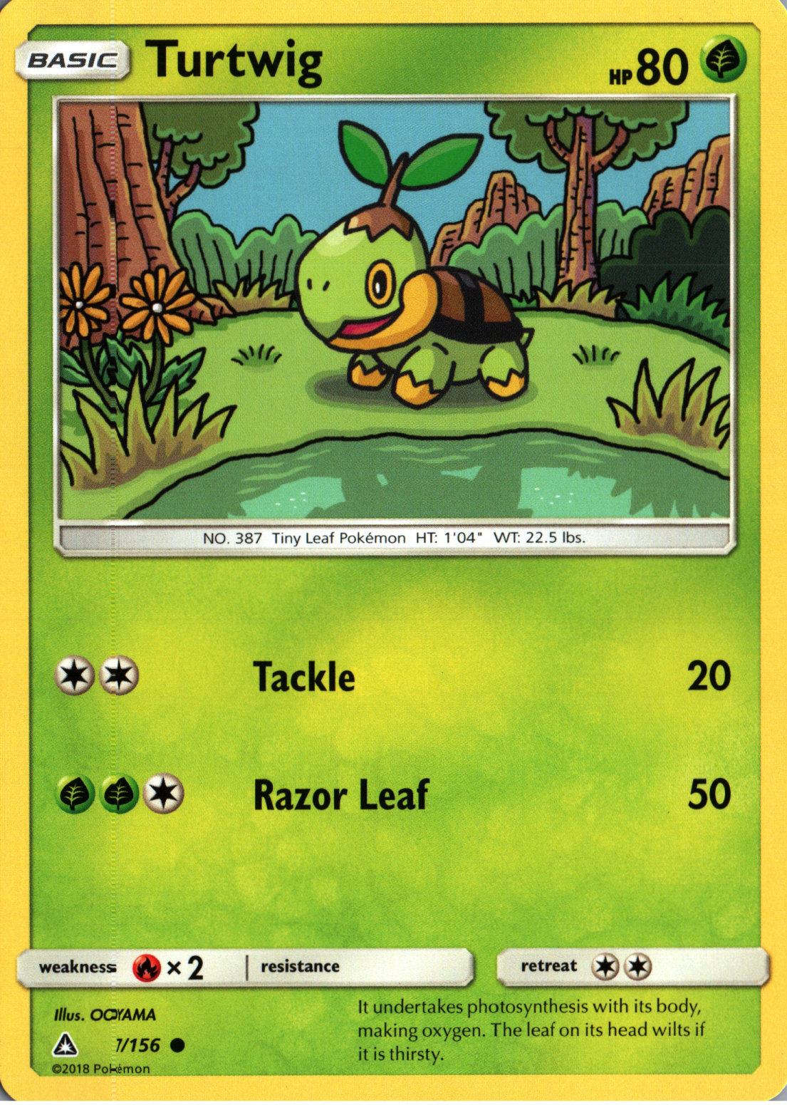 Turtwig