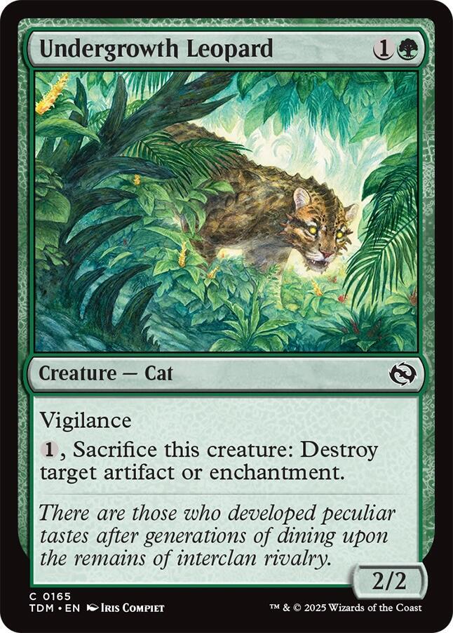 Undergrowth Leopard - #165