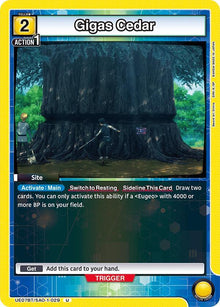 Gigas Cedar #UE07BT/SAO-1-029