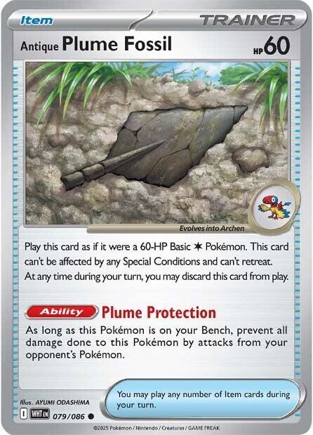 Antique Plume Fossil - #079/086