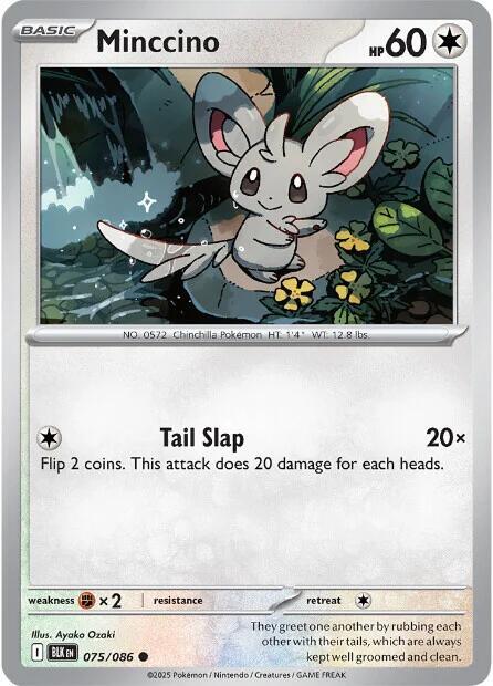 Minccino - #075/086