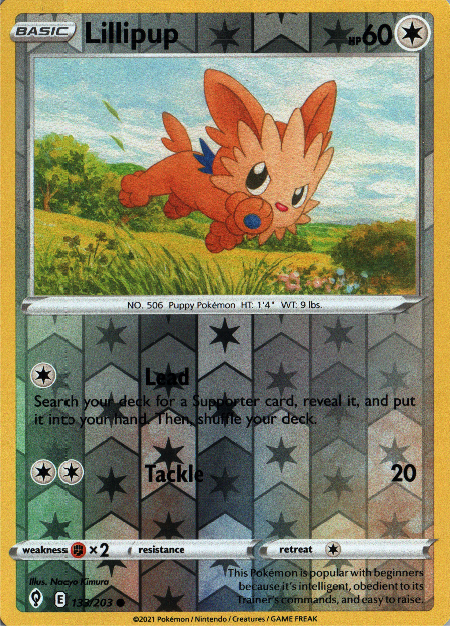 Lillipup