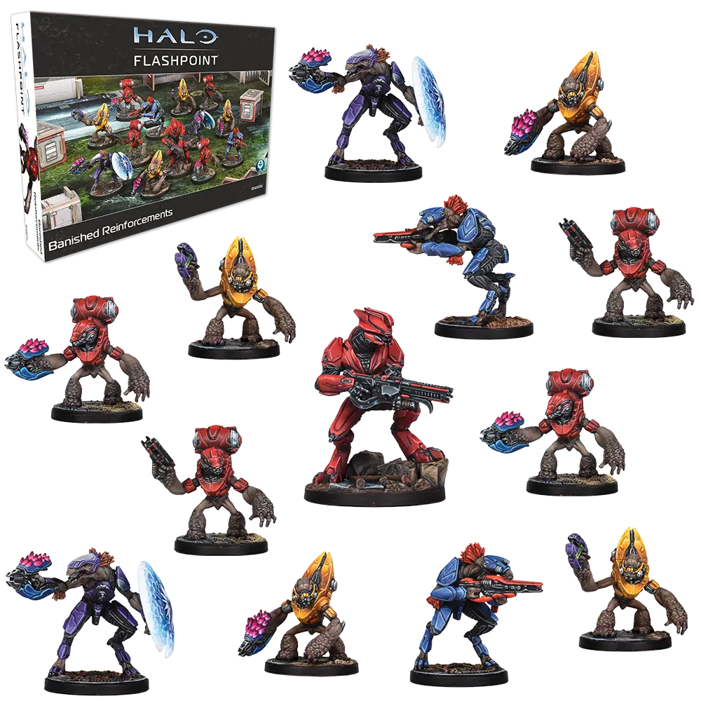 Halo Flashpoint: Banished Reinforcements