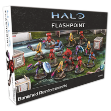 Halo Flashpoint: Banished Reinforcements
