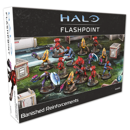 Halo Flashpoint: Banished Reinforcements