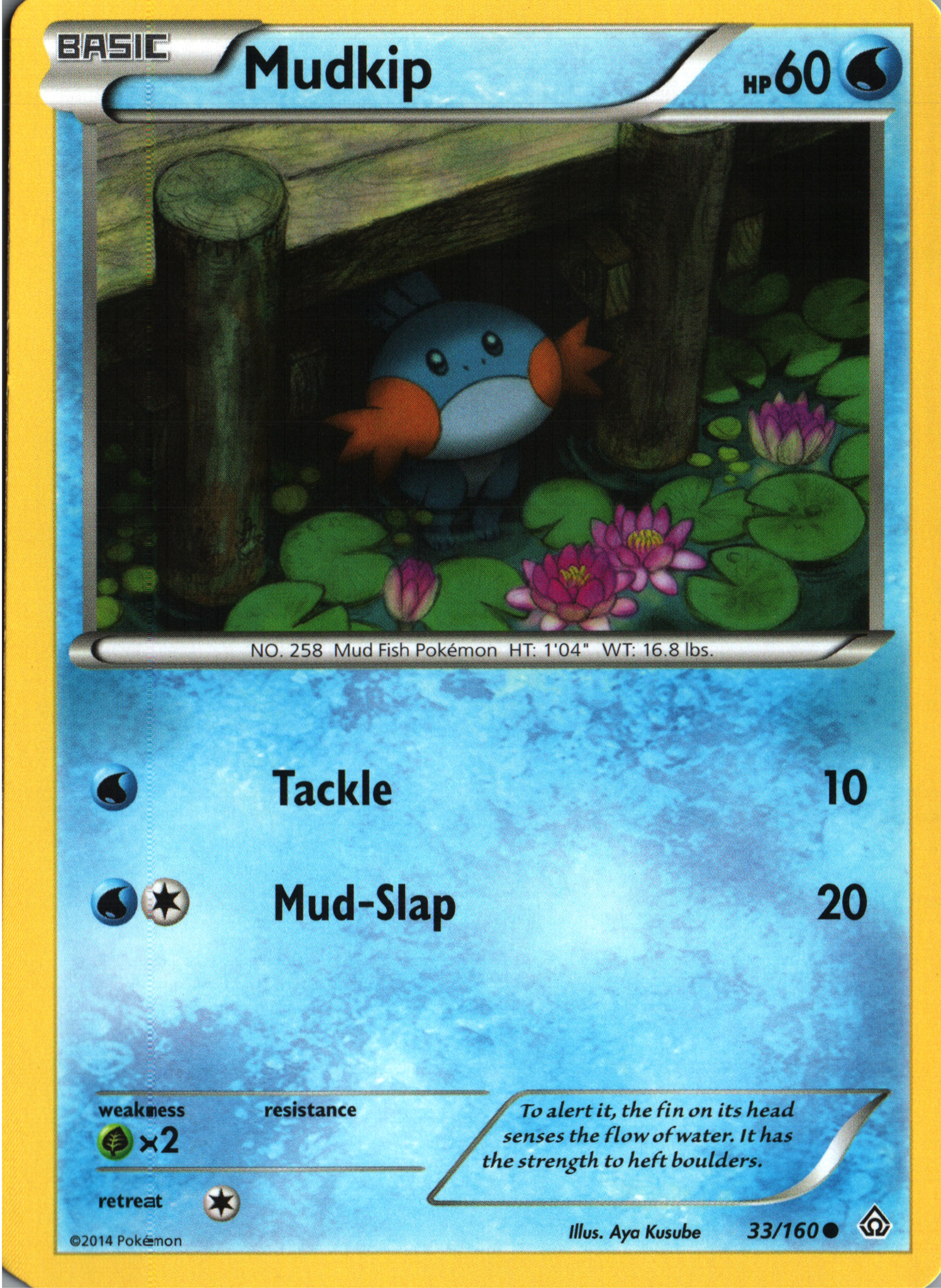 Mudkip