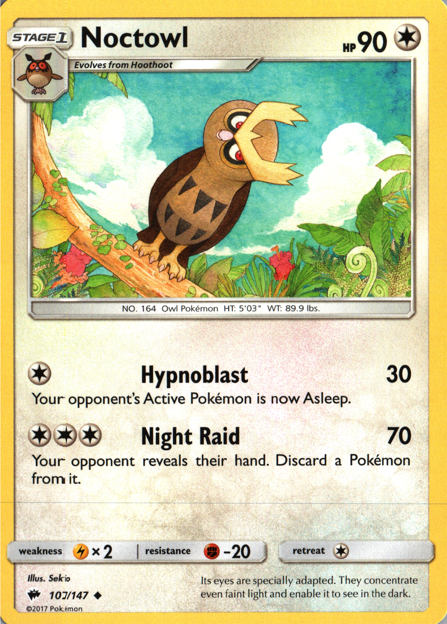 Noctowl