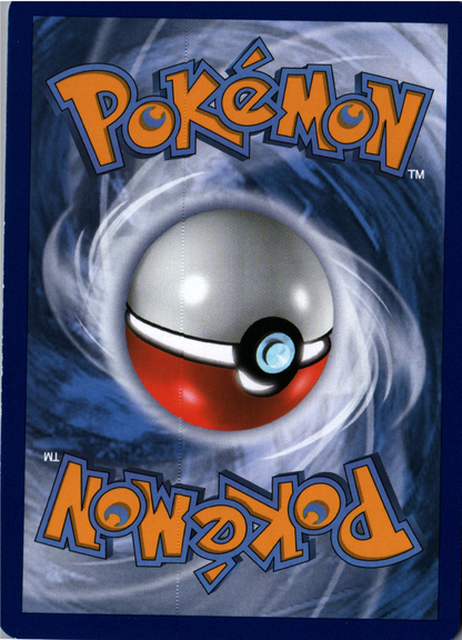 Lysandre Back