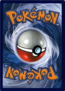 Seel Back