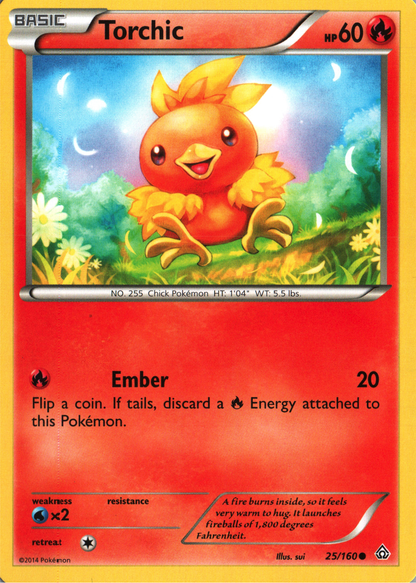 Torchic