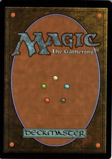Reckless Scholar - Zendikar - 60 - Back