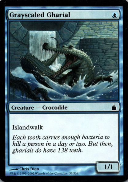 Grayscaled Gharial - Ravnica: City of Guilds - 52 - Front