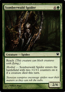 Somberwald Spider - Innistrad - 202 - Front