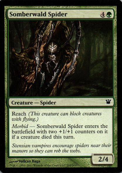 Somberwald Spider - Innistrad - 202 - Front
