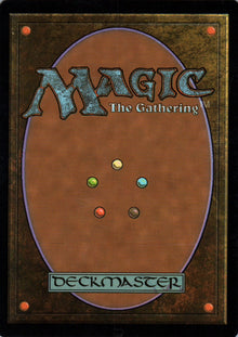 Spidersilk Net - Zendikar - 206 - Back