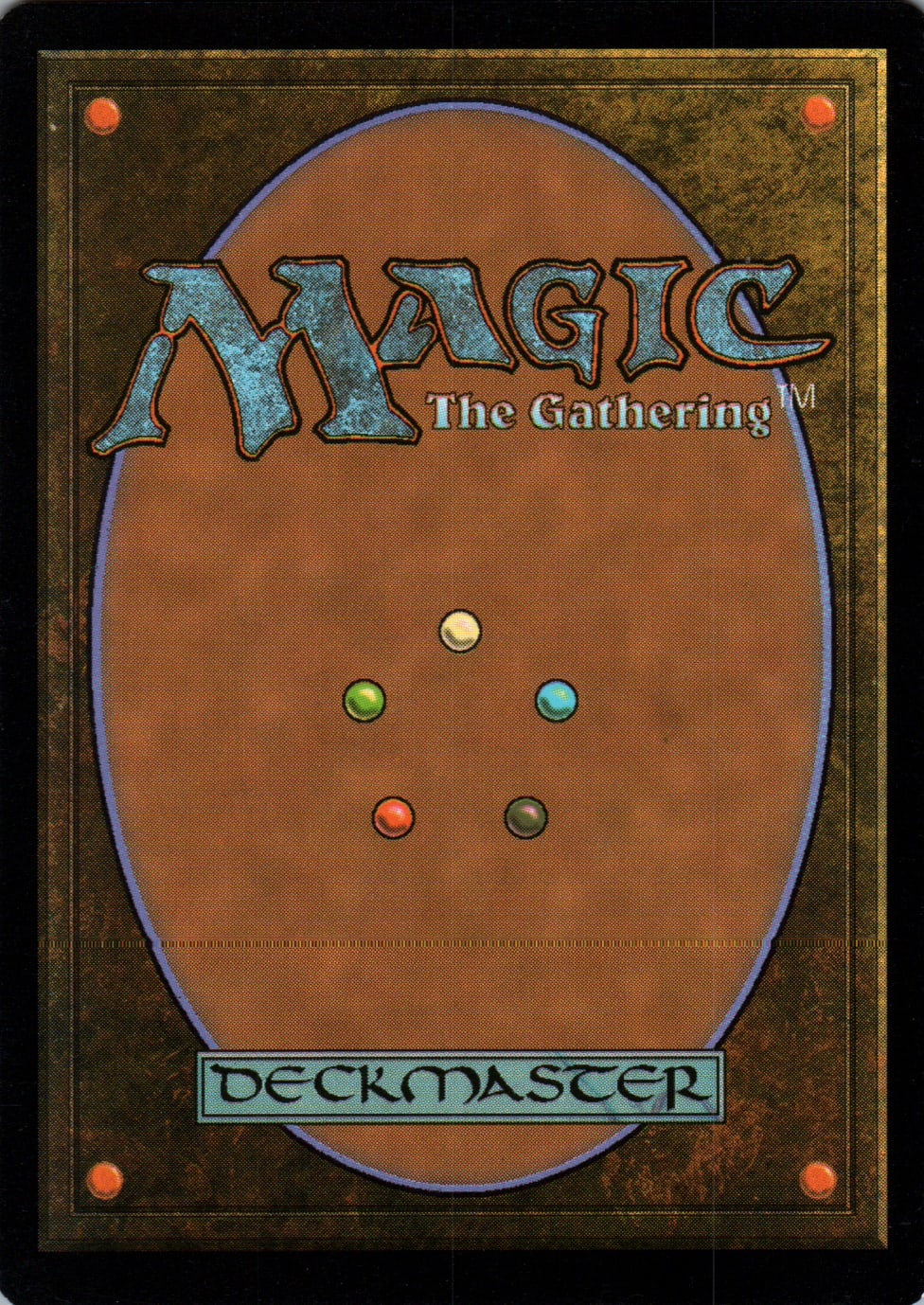 Forest - Return to Ravnica - 272 - Back