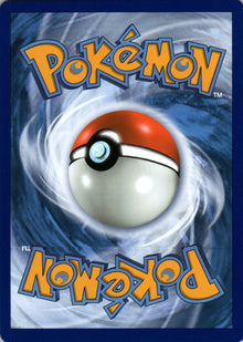 Professor Sycamore - Steam Siege - 114 - Back