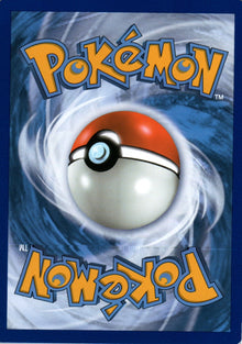 Cyndaquil - BREAKthrough - 18 - Back